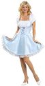 Adult Sexy Alice in Wonderland Costume