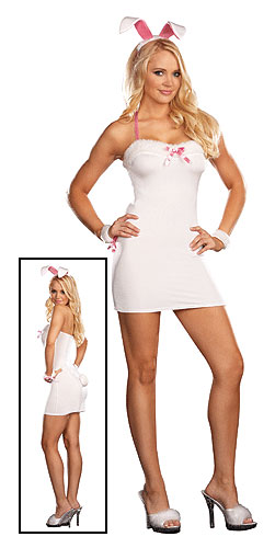 Sexy Bunny Costume
