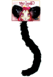 cat accessories