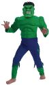 Child Incredible Hulk Costume