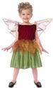 Girl's Toddler Fairy Costume
