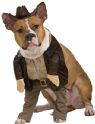 Indiana Jones Pet Costume