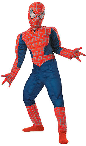 Deluxe Kids Spiderman Costume