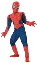 Deluxe Kids Spiderman Costume