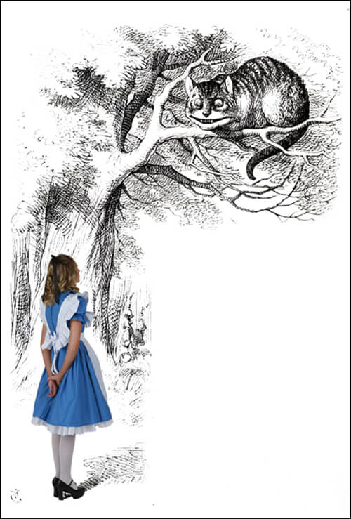 Alice In Wonderland Costumes - Halloweencostumes.com