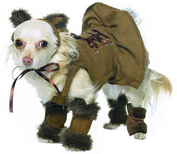 lion dog