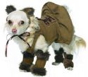 Lion Dog Costume