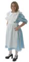 Plus Size Alice in Wonderland Costume