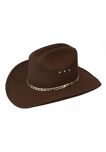 Brown Cowboy Hat -image
