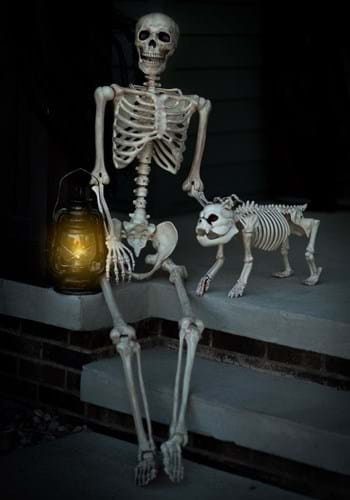 Lifesize Posable Skeleton Skeleton Halloween Decorations