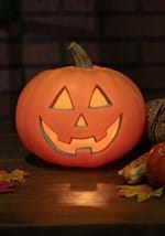 Light Up Traditional Pumpkin