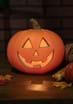 Light Up Traditional Pumpkin