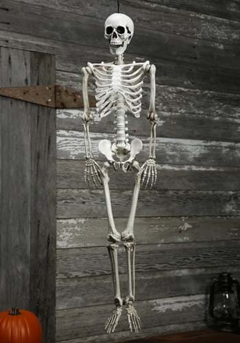 Plastic Realistic Skeleton -image