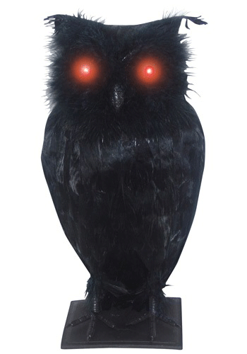 Light Up Black Owl -image