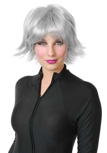 Silver Superhero Wig -image
