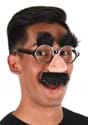 Groucho Glasses	