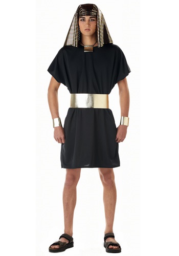 Adult Egyptian Pharaoh Costume By: California Costume Collection for the 2022 Costume season.