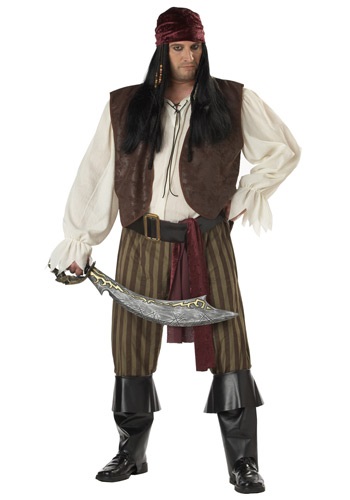 unknown Plus Size Rogue Pirate Costume