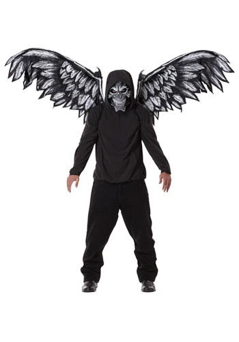 Fallen Angel Mask and Wings By: California Costume Collection for the 2022 Costume season.