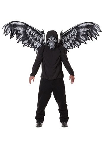 Fallen Angel Mask and Wings -image