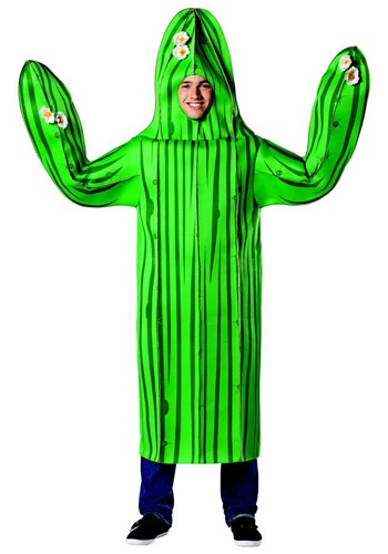 unknown Adult Cactus Costume