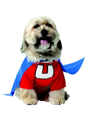 unknown Underdog Dog Costume