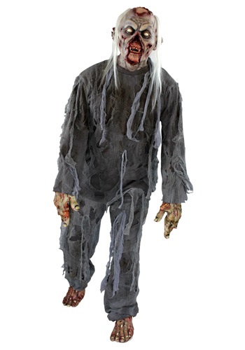 Adult Rotting Costume -image