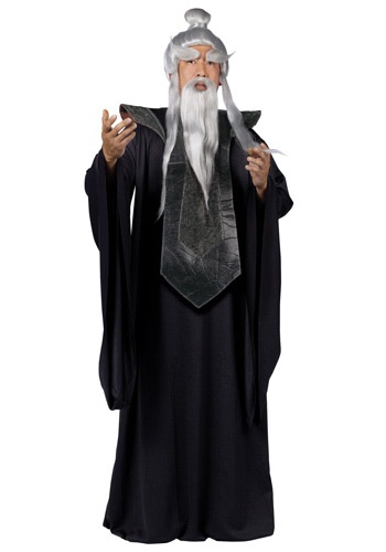 Sensei Master Costume -image