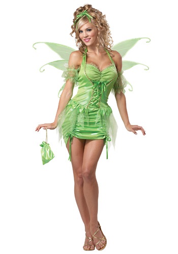 Plus Size Tinkerbell Fairy Costume
