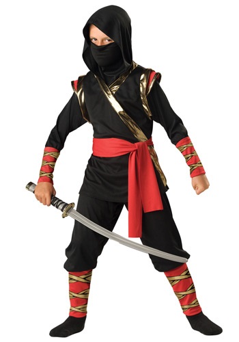 Ninja Costume By: In Character for the 2022 Costume season.
