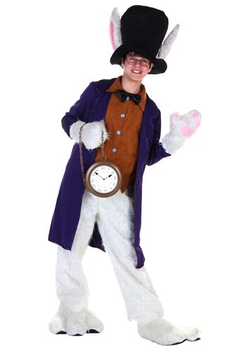 Teen White Rabbit Costume