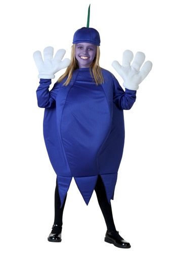 Child Blueberry Costume