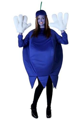 unknown Adult Blueberry Costume