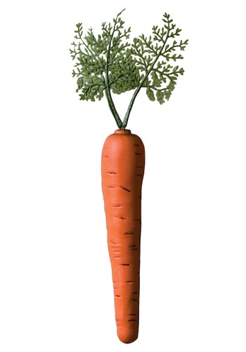 Bunny Carrot Accessory -image