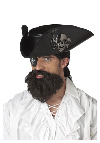 Pirate Captain Beard -image