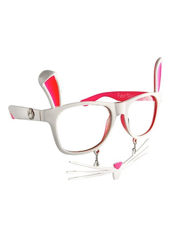 Bunny Animal Glasses