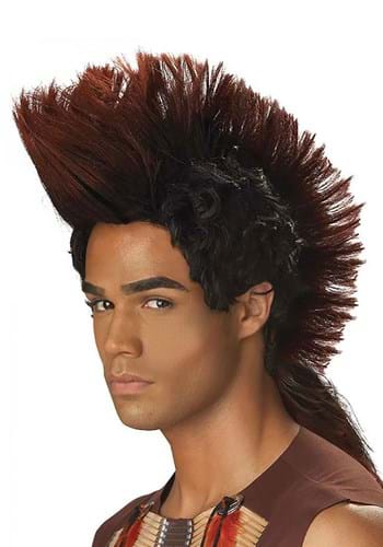 Indian Warrior Wig -image