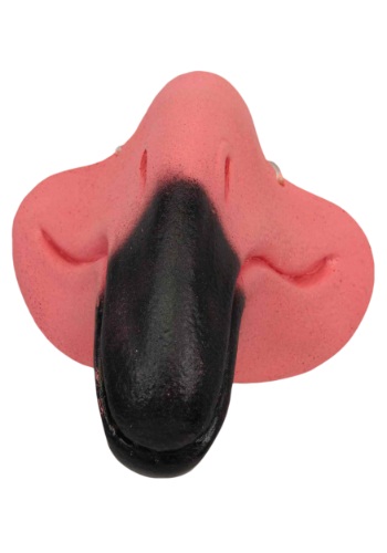 unknown Flamingo Nose