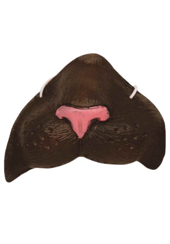 Black Cat Nose -image