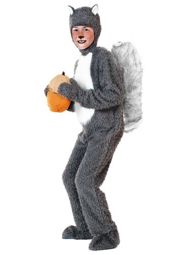 Child Squirrel Costume By: Fun Costumes for the 2022 Costume season.