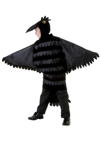 unknown Child Crow Costume