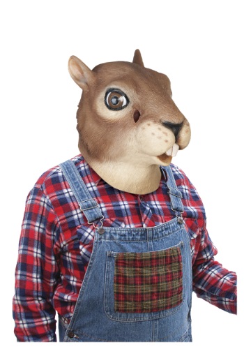 Squirrel Mask -image