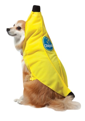 Chiquita Banana Dog Costume By: Rasta Imposta for the 2022 Costume season.