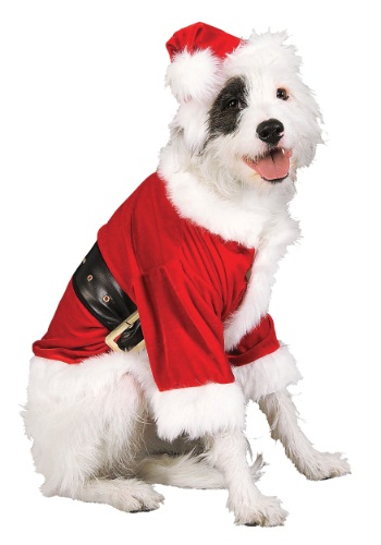 unknown Santa Pet Costume