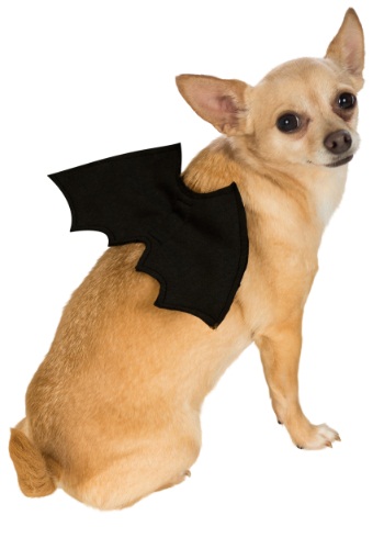 Bat Wings Pet Costume By: Rubies for the 2022 Costume season.