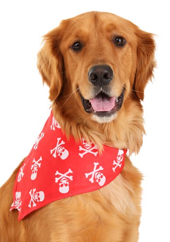 Red Skulls and Bones Bandana Pet Costume -image
