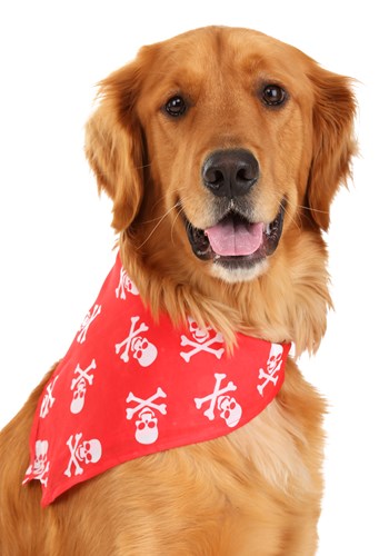 Red Skulls and Bones Bandana Pet Costume By: Rubies for the 2022 Costume season.