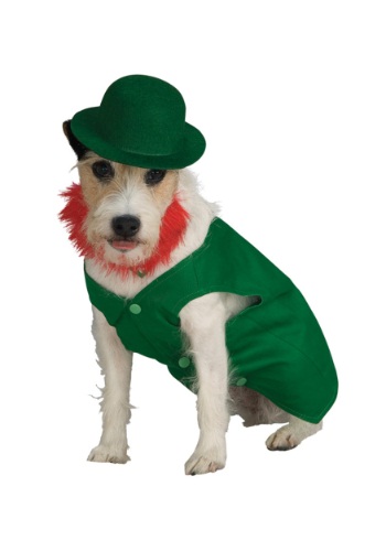 Leprechaun Pet Costume By: Rubies for the 2022 Costume season.