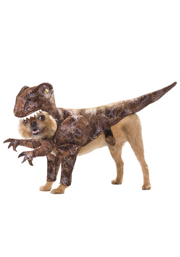 Pet Raptor Costume By: California Costume Collection for the 2022 Costume season.