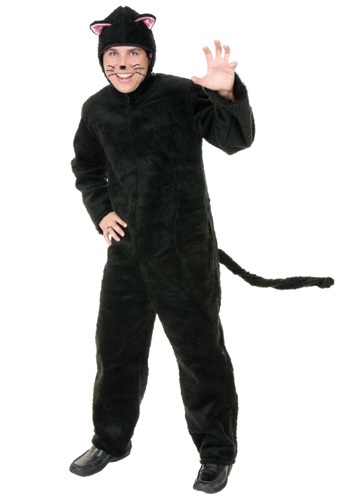 unknown Adult Cat Costume